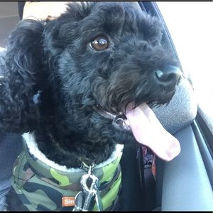 Meet your Posher, Aaron